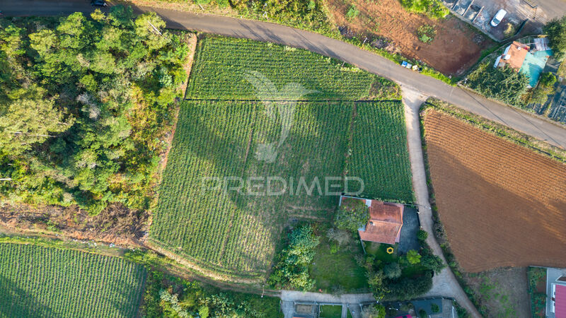 Land with 1510sqm São Jorge Santana