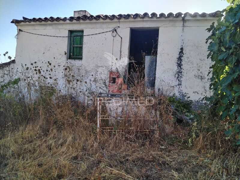 Quinta para recuperar Portalegre