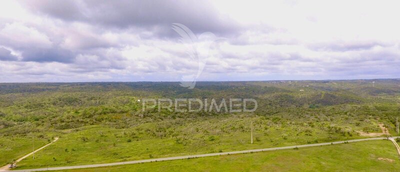 Terreno Agrícola para construção Grândola - viabilidade de construção, excelentes acessos