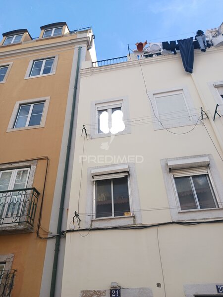Apartamento T1 Estrela Lisboa - jardim