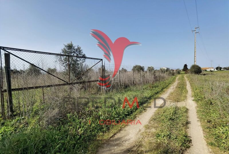 Land with 9600sqm Romeira Santarém