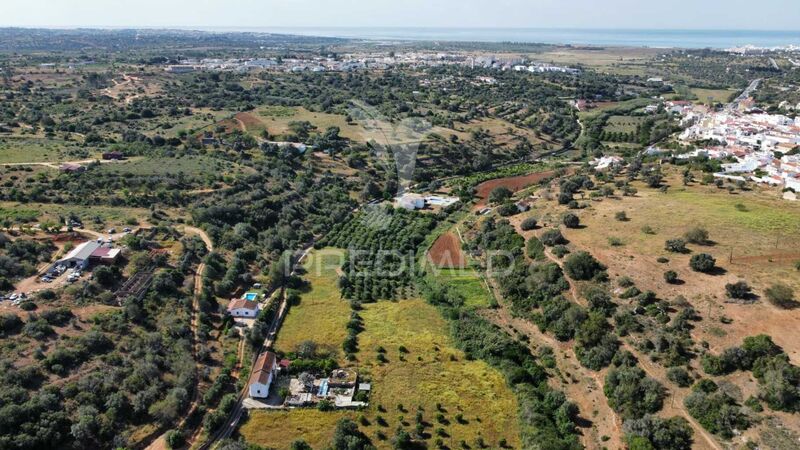 Lote Rústico com 10440m2 Silves - electricidade, regadio