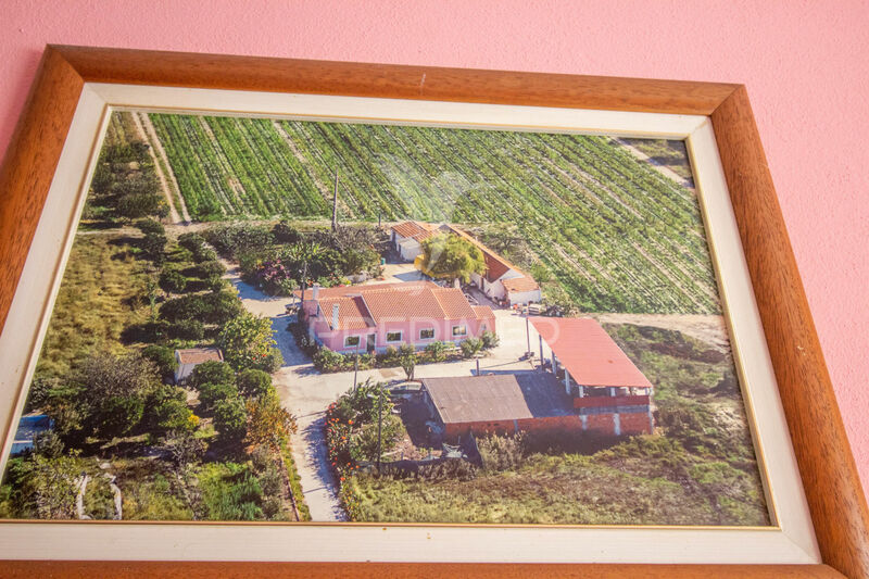 Farm 3 bedrooms with housing Poceirão Palmela - garden