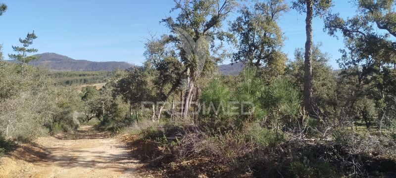 земля агрикультурный c 87375m2 São Francisco da Serra Santiago do Cacém