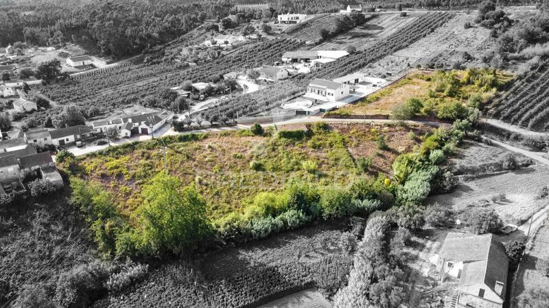 Terreno Agrícola com 5800m2 Alvorninha Caldas da Rainha - poço, viabilidade de construção, árvores de fruto