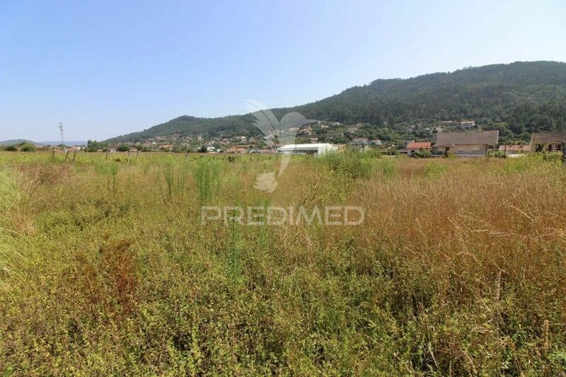 Land with 4033sqm Encourados Barcelos