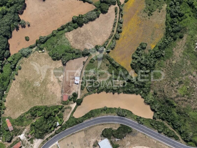 Land with ruin Mafra