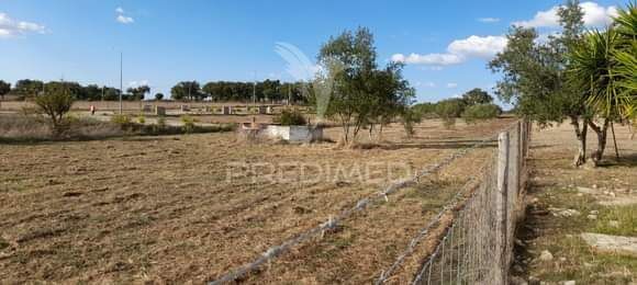 Terreno novo plano Silveiras Montemor-o-Novo - excelente localização, poço