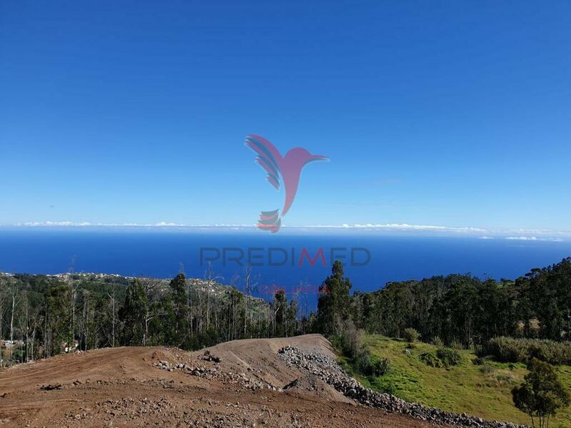 Terreno com 17000m2 Estreito da Calheta Calheta (Madeira) - vista mar