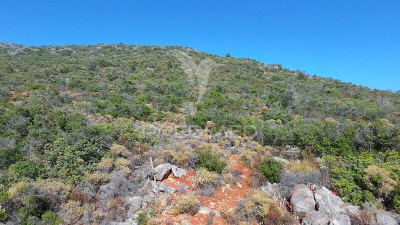Land Agricultural with 2520sqm Olhão