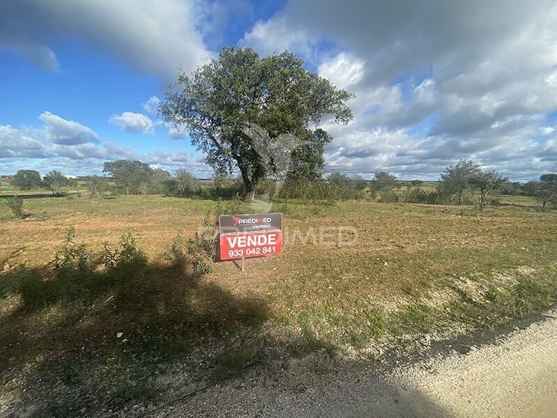 Land Rustic with 68500sqm Vimieiro Arraiolos - cork oaks, olive trees