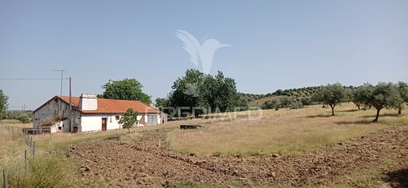 Farm V4 Pavia Mora - mains water, electricity, well, water