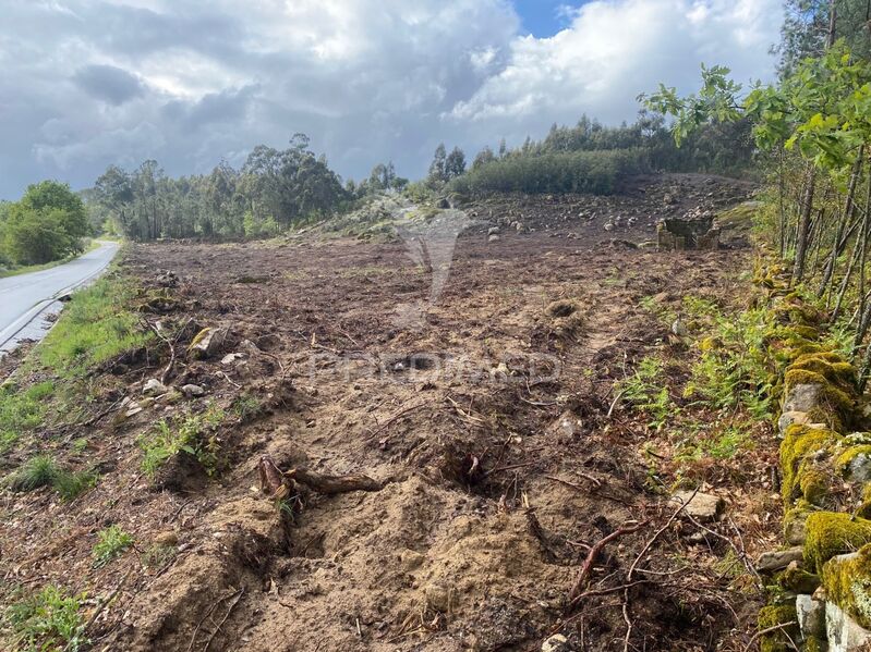 Terreno com 24000m2 Fornos de Maceira Dão Mangualde
