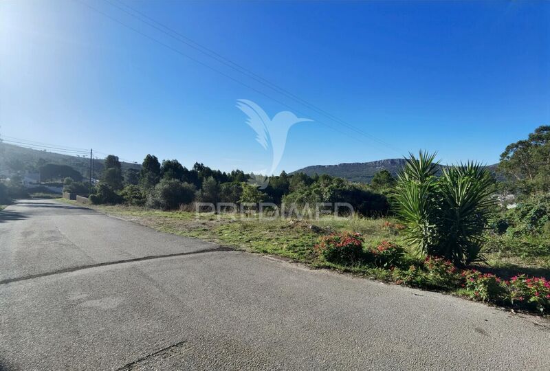 Plot Urban with 3200sqm Minde Alcanena - water, electricity