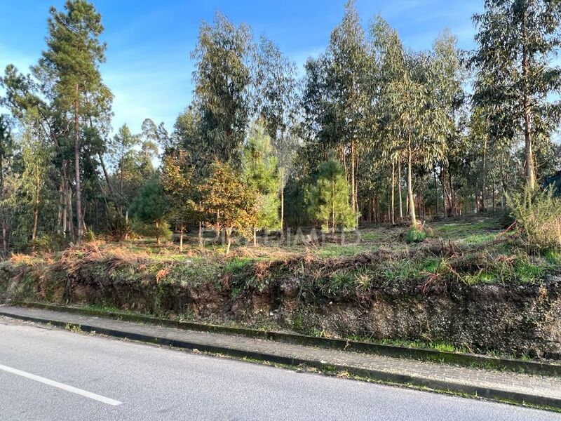 Land with 1134sqm Regadas Fafe