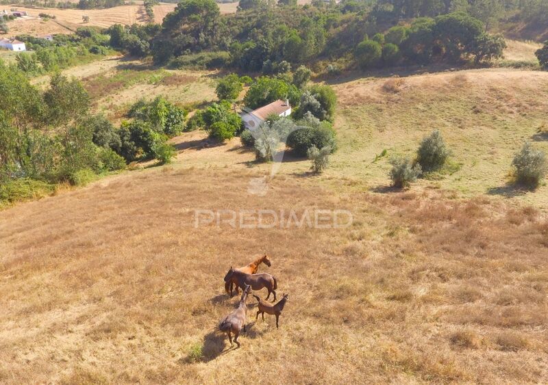 Farm V2 Cercal Santiago do Cacém - , ,