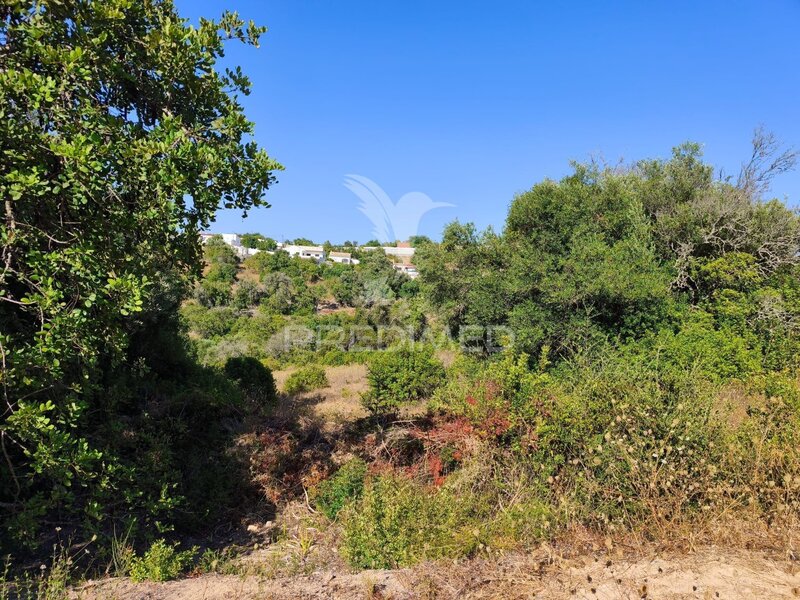 Land Rustic with 9200sqm Paderne Albufeira