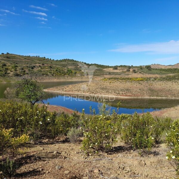 Terreno Rústico com 6800m2 Odeleite Castro Marim - oliveiras