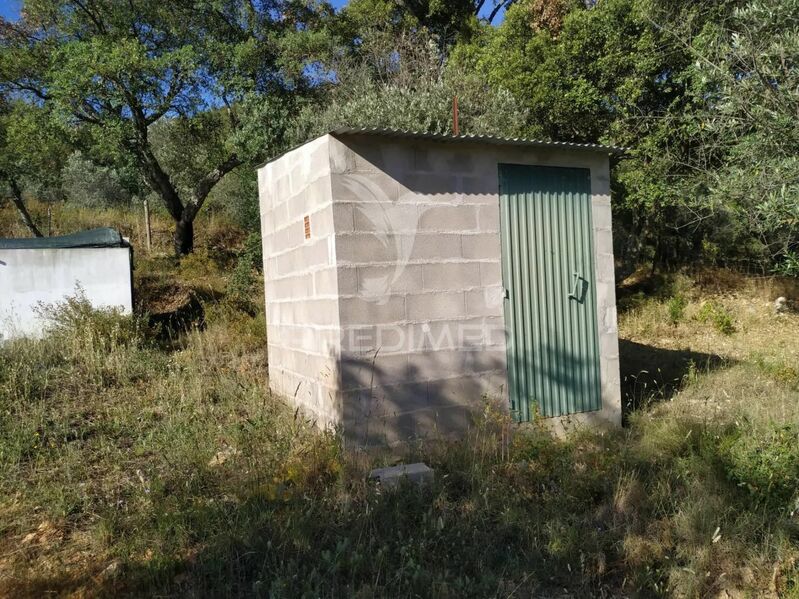 Terreno Agrícola com 20750m2 Alegrete Portalegre - furo, bom acesso, água, tanque