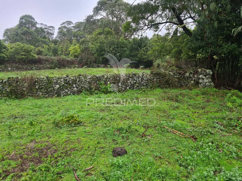 Land new with 7260sqm São Mateus Angra do Heroísmo