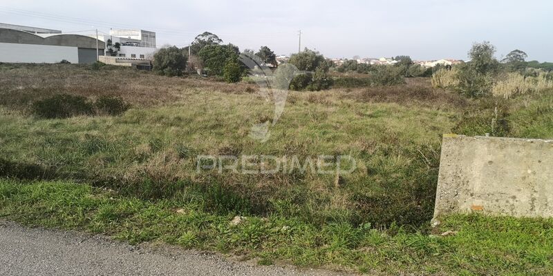 Land with 6000sqm Sintra