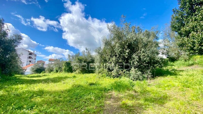 Land Rustic with 5760sqm Rio Maior - construction viability