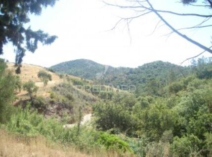 Land Rustic with 7880sqm São Brás de Alportel - olive trees, cork oaks