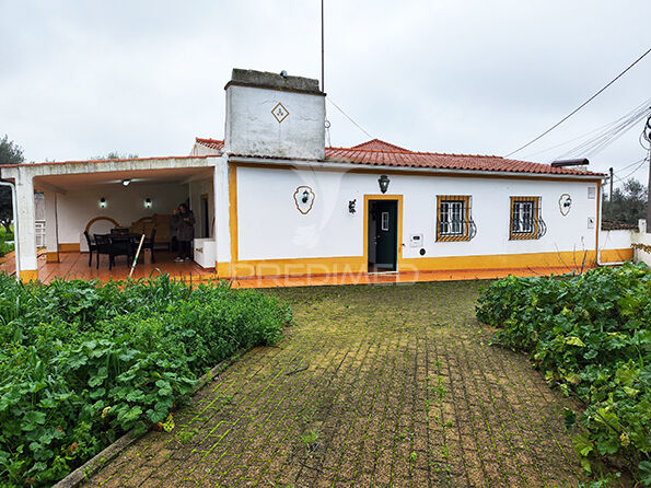 Quinta V2 Avis - água, lareira, oliveiras, equipada, luz, garagem