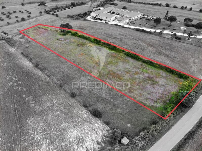 земля новые c 5280m2 Almoster Santarém - отличный доступ