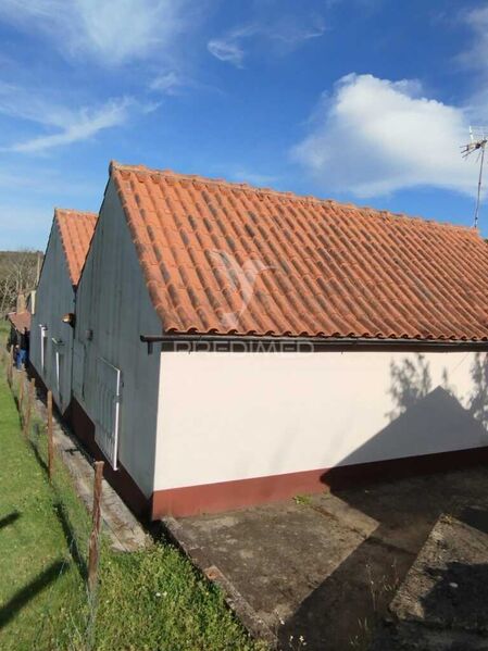 House Isolated V4 Beco Ferreira do Zêzere - garden