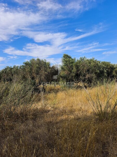 Land Rustic with 5960sqm Paderne Albufeira