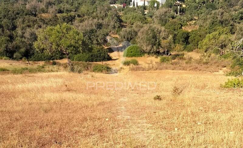 Land Rustic with 16200sqm Guia Albufeira