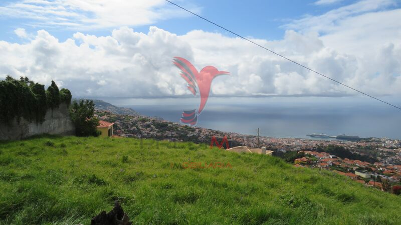 Lote de terreno novo plano São Roque Funchal para venda - garagem