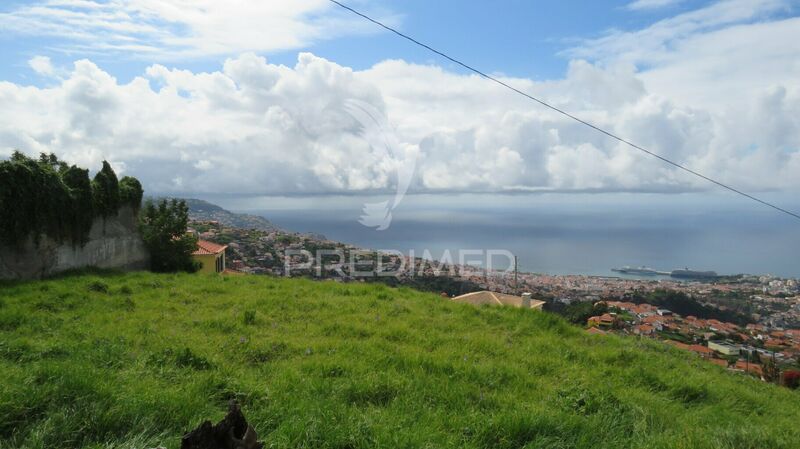 Lote de terreno novo plano São Roque Funchal - garagem