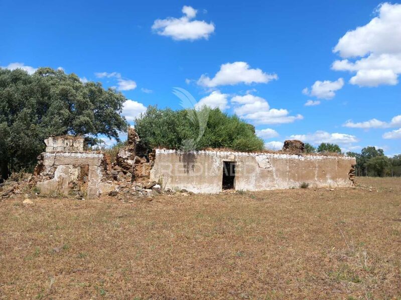 Terreno com 150m2 São Miguel de Machede Évora - cultura arvense, água, furo, oliveiras