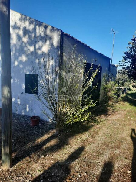 Terreno Urbano com 12177m2 Coruche - zona muito calma, água, luz, árvores de fruto