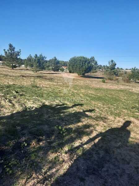 Land with 12177sqm Coruche - , ,