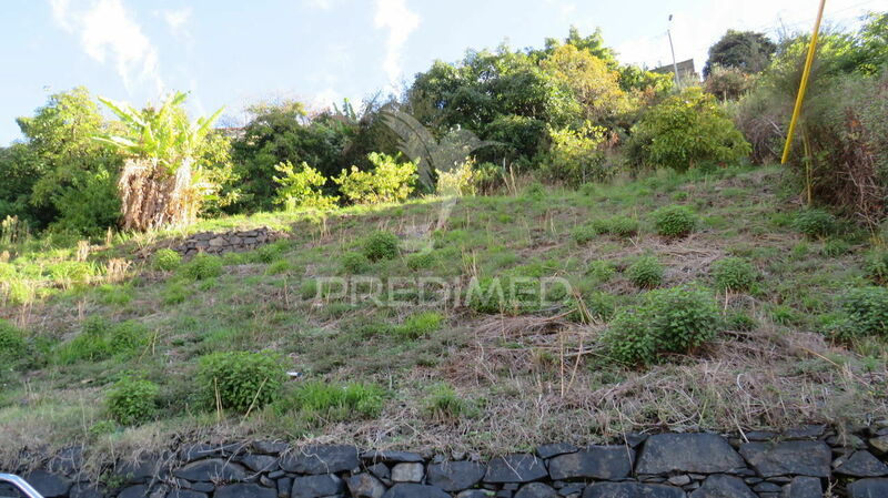 Land with 1500sqm Santo António Funchal