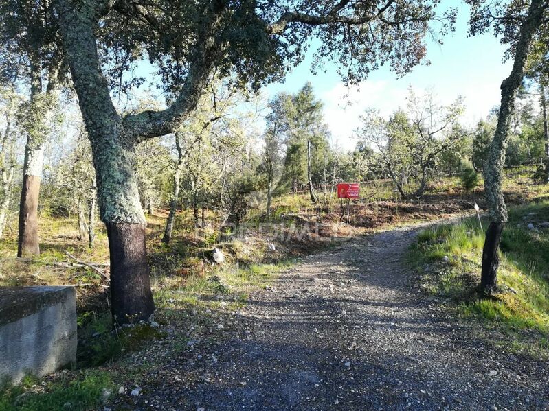 Terreno com 69388m2 Santa Maria da Devesa Castelo de Vide - sobreiros