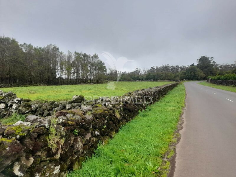 Terreno com 8228m2 Terra Chã Angra do Heroísmo