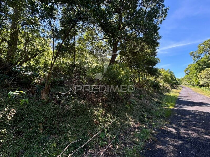 Land Rustic with 4840sqm São Roque do Pico