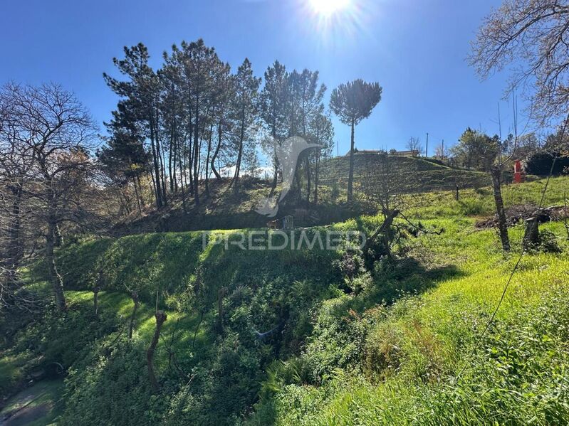 Terreno Agrícola com 3209m2 Amarante - água