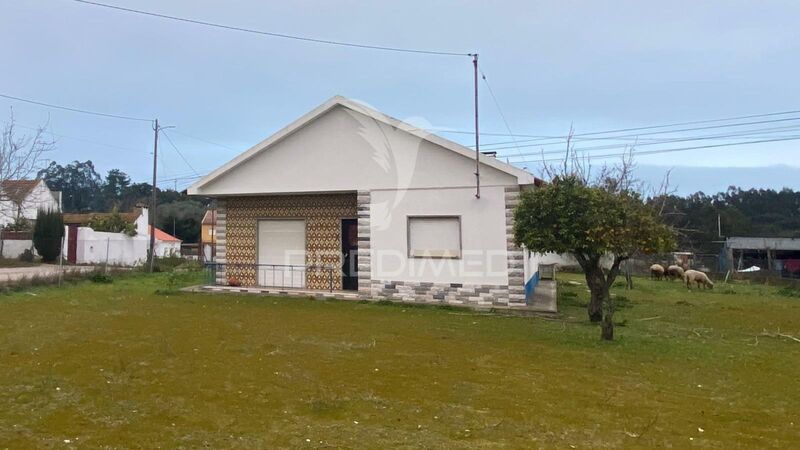 Moradia V4 Rio Maior - lareira, sótão, cozinha equipada, terraço, garagem, jardim, marquise