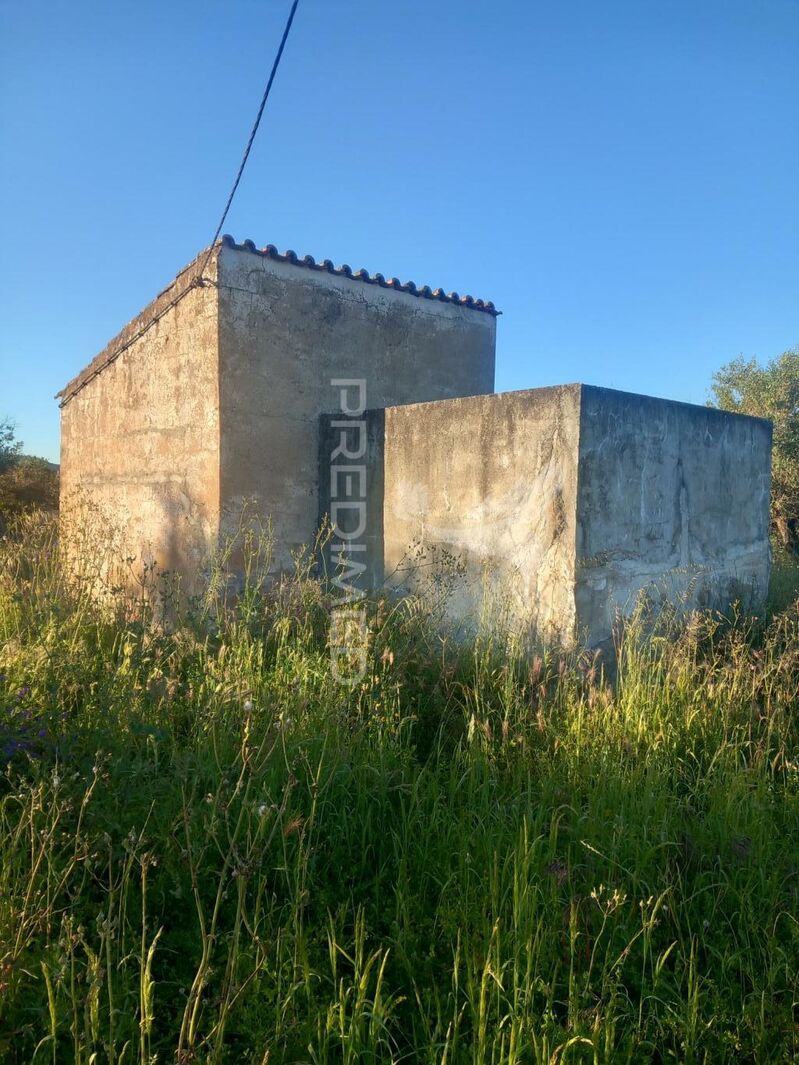 Terreno Agrícola com 9000m2 Redondo - poço, água da rede, oliveiras