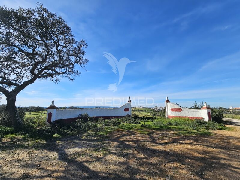 Terreno Rústico com 75100m2 Ourique - oliveiras, viabilidade de construção, água, electricidade