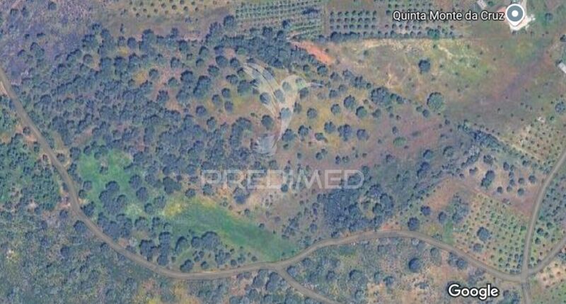 Land Rustic with 15000sqm Santo António (Capelins) Alandroal - olive trees, cork oaks, easy access