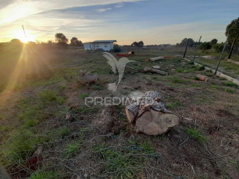 Land Rustic with 1290sqm Palmela - electricity, fruit trees, water hole