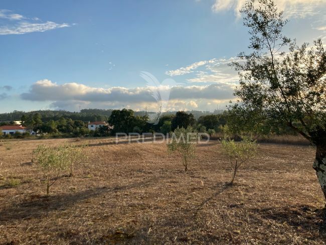 Terreno para construção Fátima Ourém