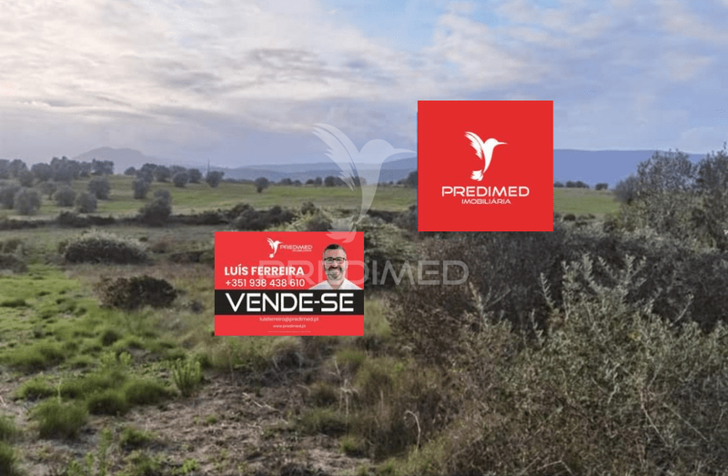 Land with 20440sqm Brogueira Torres Novas