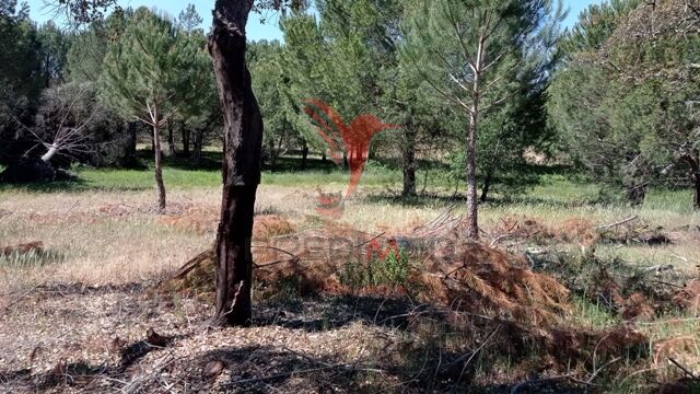 Land with 51500sqm Couço Coruche